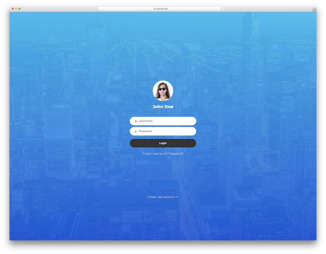 login form v12