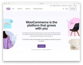 WooCommerce website examples